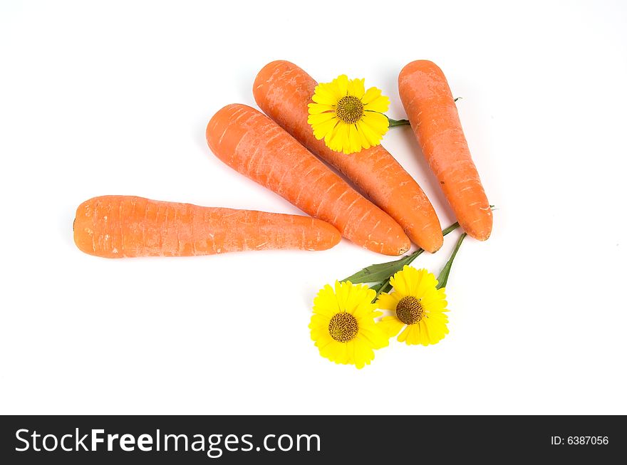 Carrot fresh vegetable group on white background