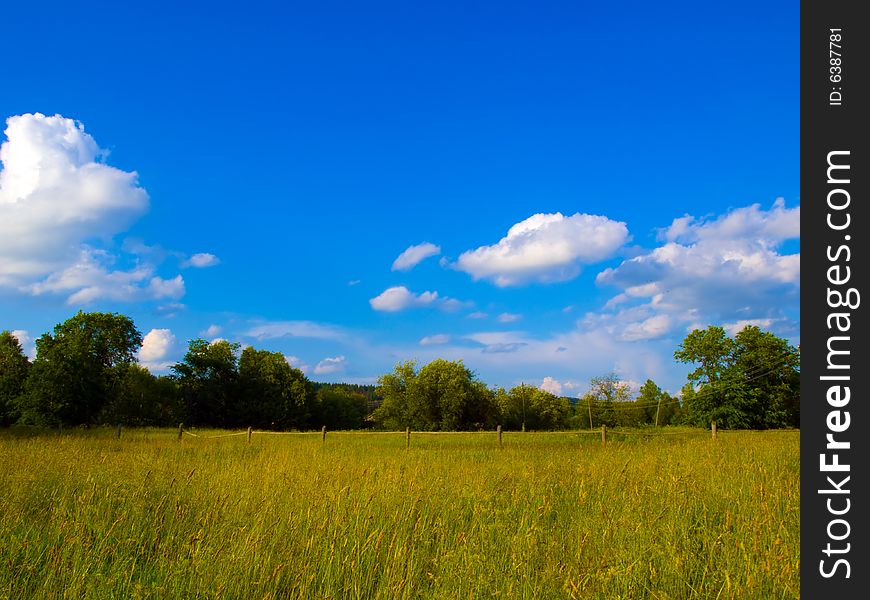 Field And Sky