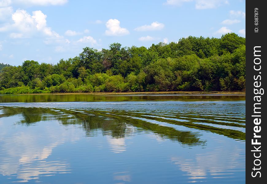 River, forest and sky sunny day