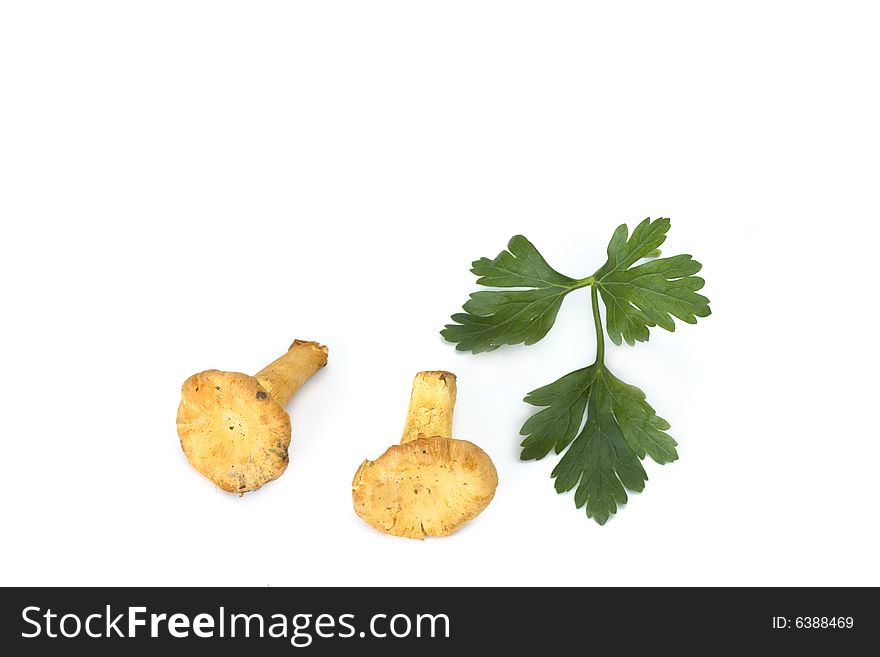 Fresh golden chanterelles isolated on white