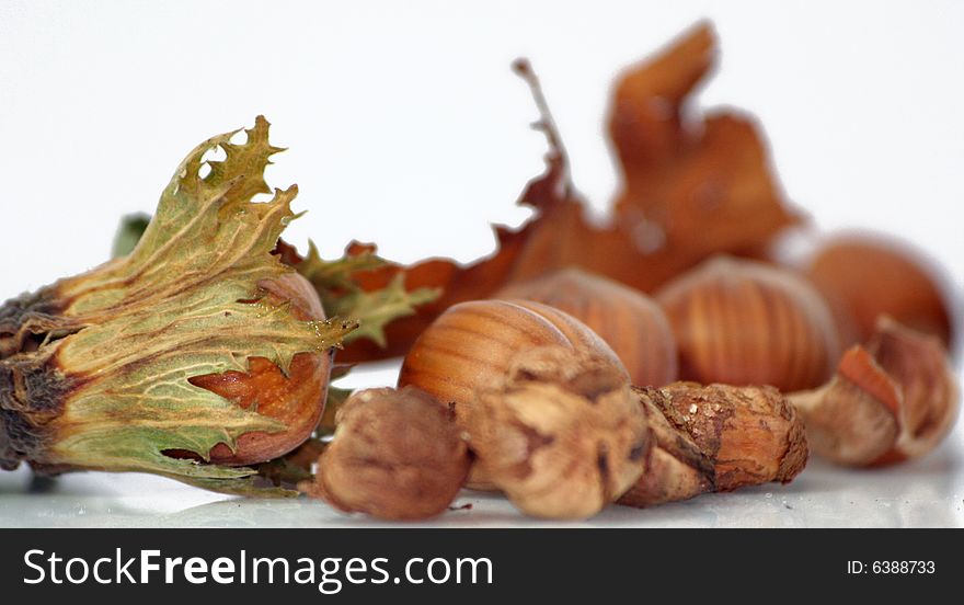 Hazelnuts in white isolation. Autumn fruits. Hazelnuts in white isolation. Autumn fruits.