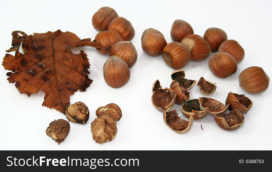 Hazelnuts in white isolation. Autumn fruits.