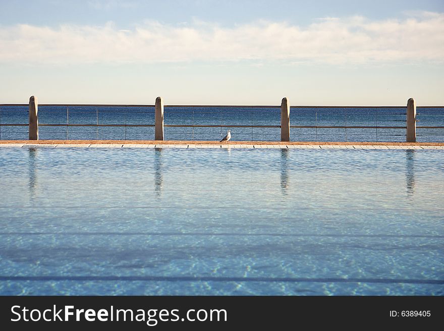 Calm coastal public pool with seagull