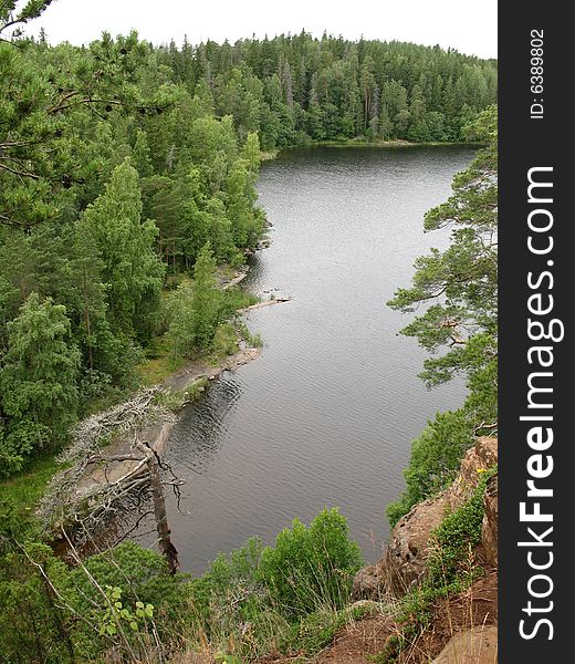 Grass green island karelia lake landscape natural nature pine plant rock rocks russia tree water valaam  granite boulder. Grass green island karelia lake landscape natural nature pine plant rock rocks russia tree water valaam  granite boulder