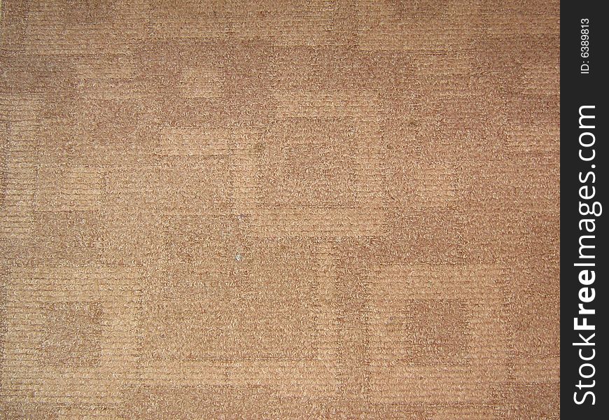 The beautiful oriental carpet lies on a floor