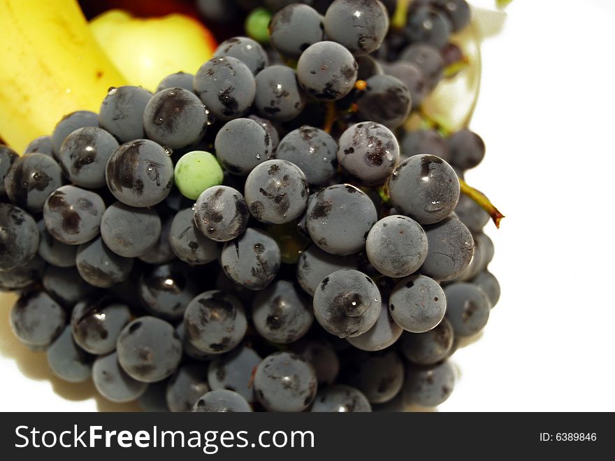 Black grapes details on white background. sweet wine grapes.