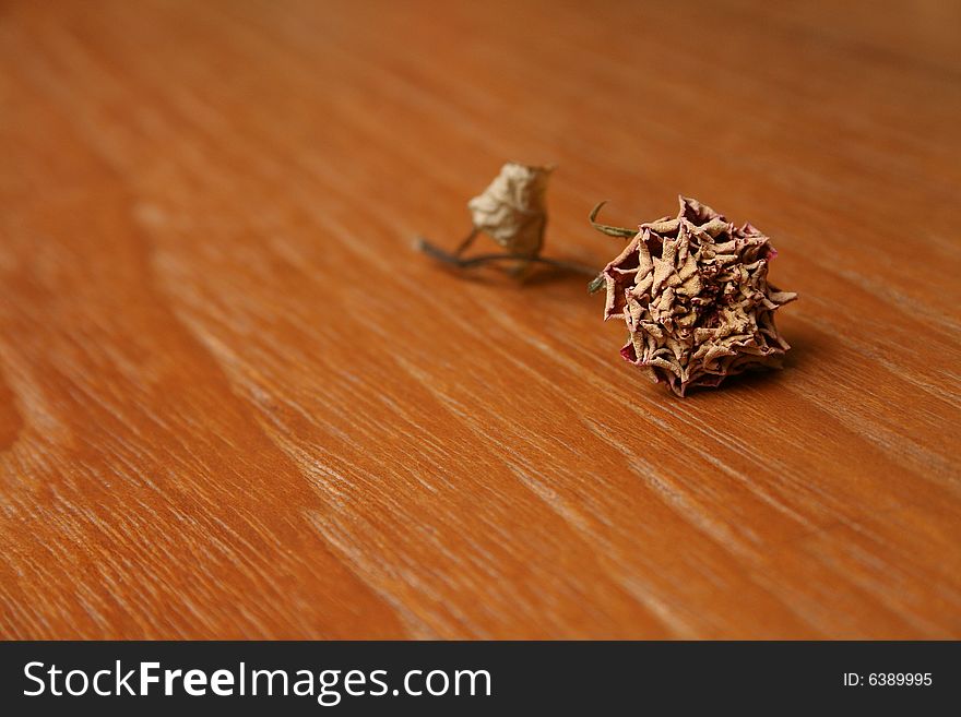 Dried Rose on wooden surface