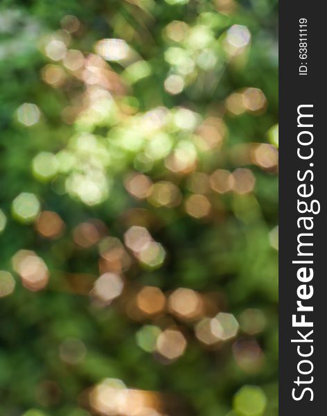 Natural Green Blurred Background - Free Stock Images & Photos - 63811119 |  