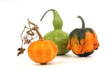 Three Decorative Pumpkins Stock Images Three Decorative Pumpkins Stock Images