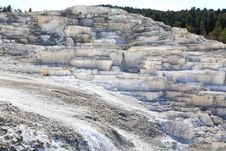 The Mammoth Hot Spring Area In Yellowstone Royalty Free Stock Images