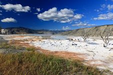 The Mammoth Hot Spring Area In Yellowstone Stock Photo
