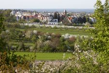 Orchards Royalty Free Stock Image Orchards Royalty Free Stock Image