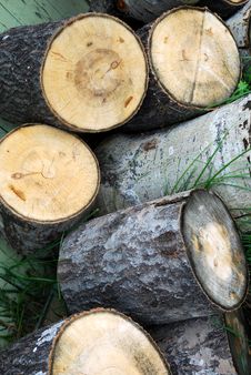 Cut Birch Logs Royalty Free Stock Photos Cut Birch Logs Royalty Free Stock Photos