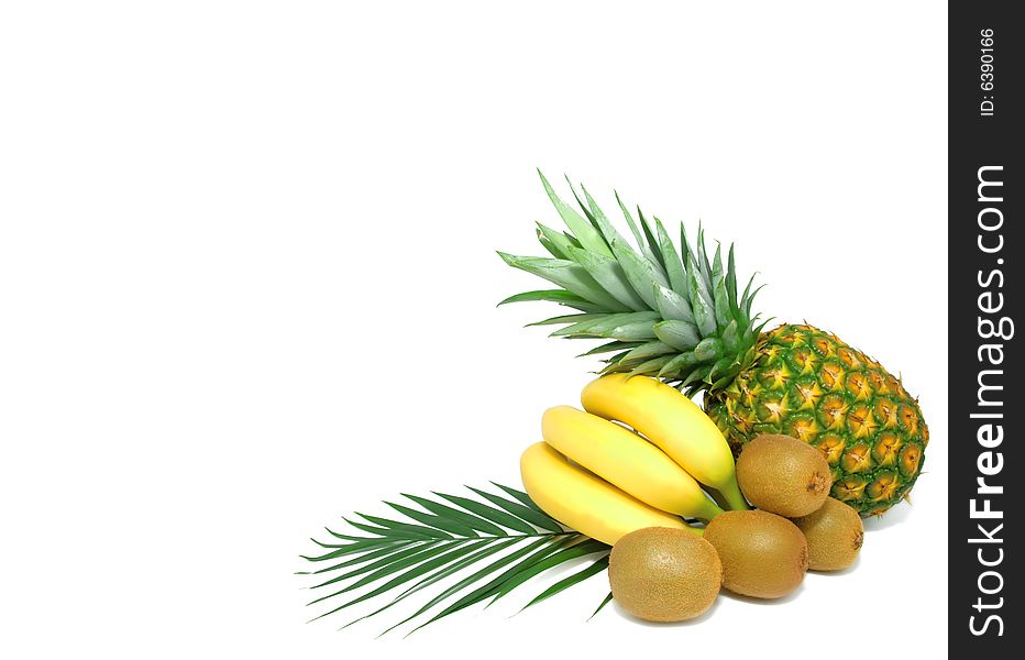 Fruit Isolated On White Background