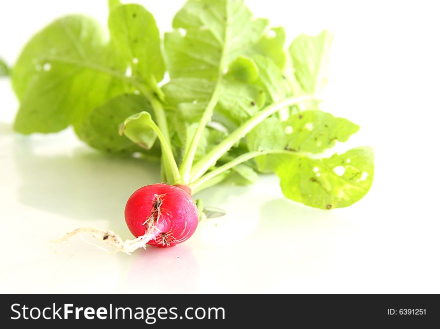 Shot of Cherry Belle Radish on white