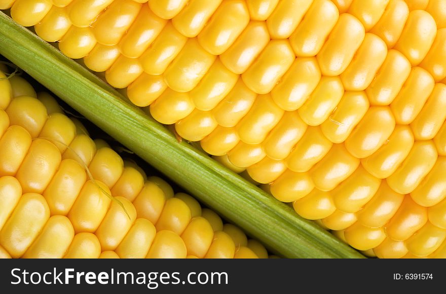 Texture of golden corn closeup. Texture of golden corn closeup