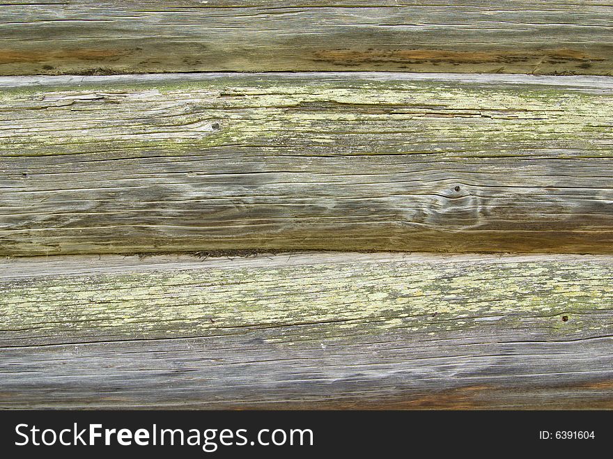 Close-up of old loghouse wall, covered with moss and lichen. Close-up of old loghouse wall, covered with moss and lichen