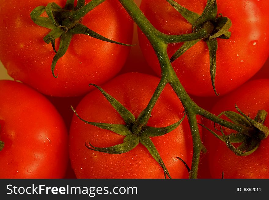 Red plump Tomatoes in studio light. Red plump Tomatoes in studio light