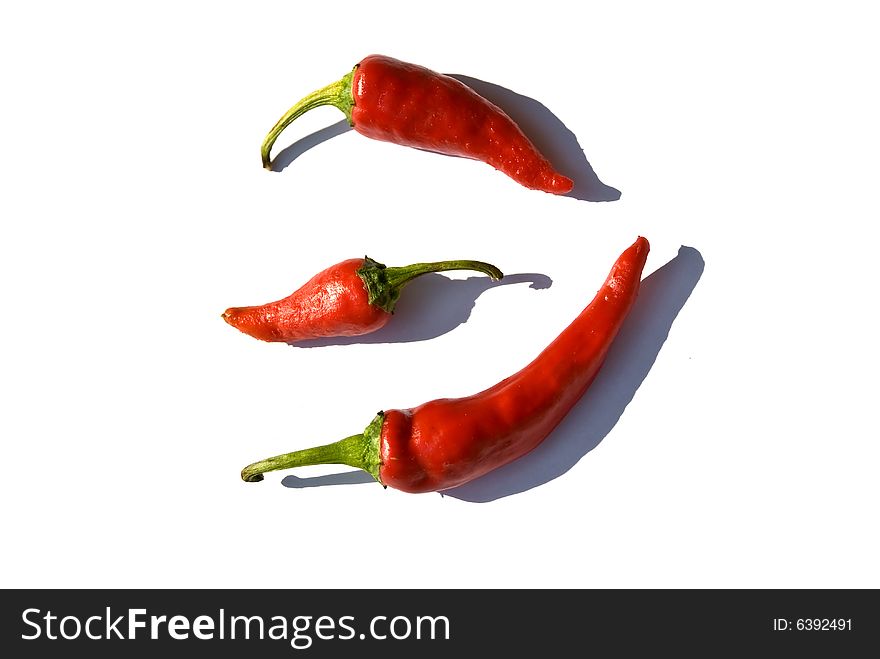 Red Chili Peppers In The Sunshine