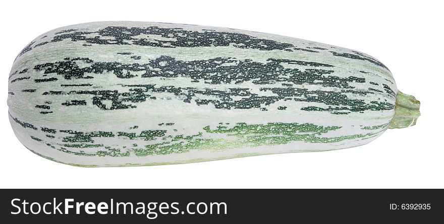 One marrow isolated on white background. One marrow isolated on white background