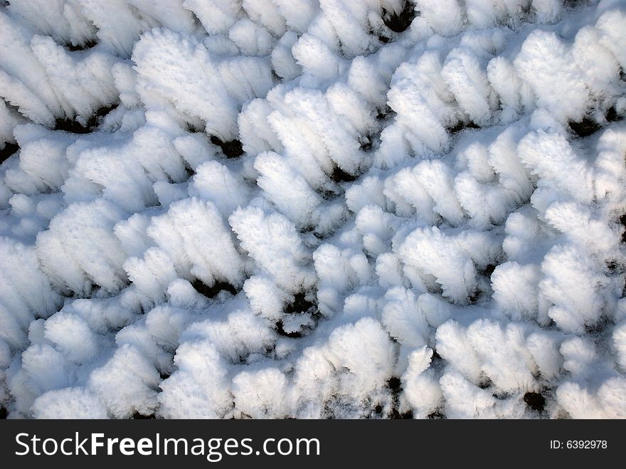 White background of snow scales in the form of leaves, close-up. White background of snow scales in the form of leaves, close-up