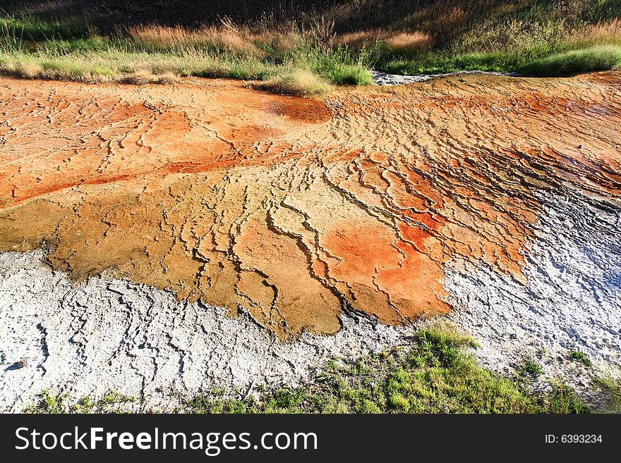 The Mammoth Hot Spring Area In Yellowstone