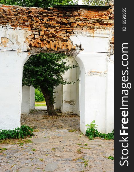 Tree growing between two arches