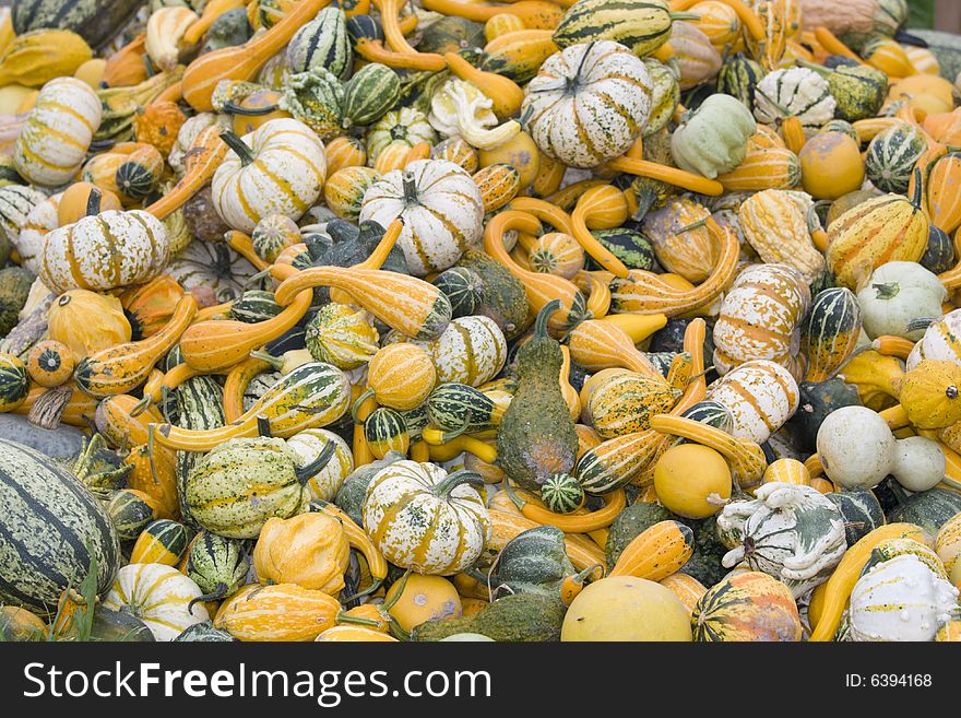 Lots of pumpkins piled up