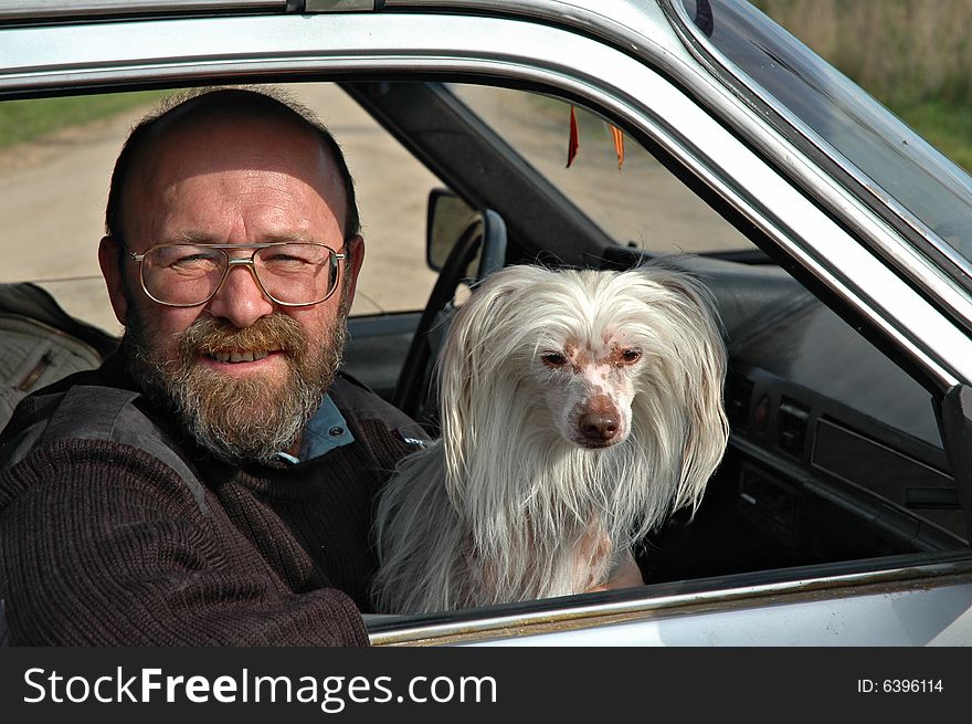 A caucasian bald man and his white Chinese crested dog looking out of the window of a car. A caucasian bald man and his white Chinese crested dog looking out of the window of a car