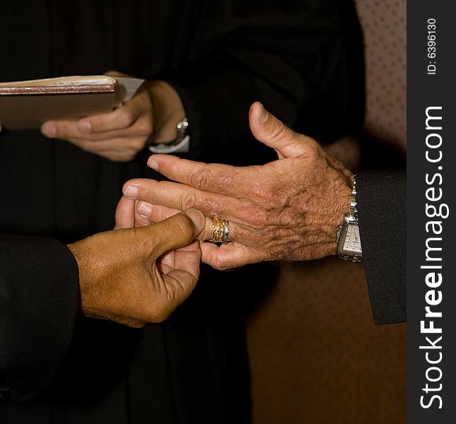 Life partners exchanging wedding rings during the ceremony