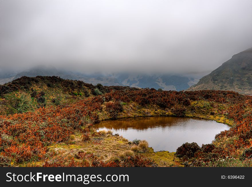 Beautiful water pond in a foggy country scene