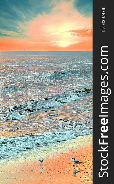 Two seagulls on the sandy beach near the sea . Wet surface reflect a lot of morning lights. Sunrise.