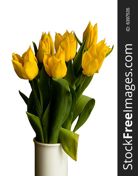 Bouquet of the yellow tulips in a white vase