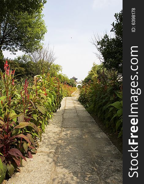 The alley of a park in china