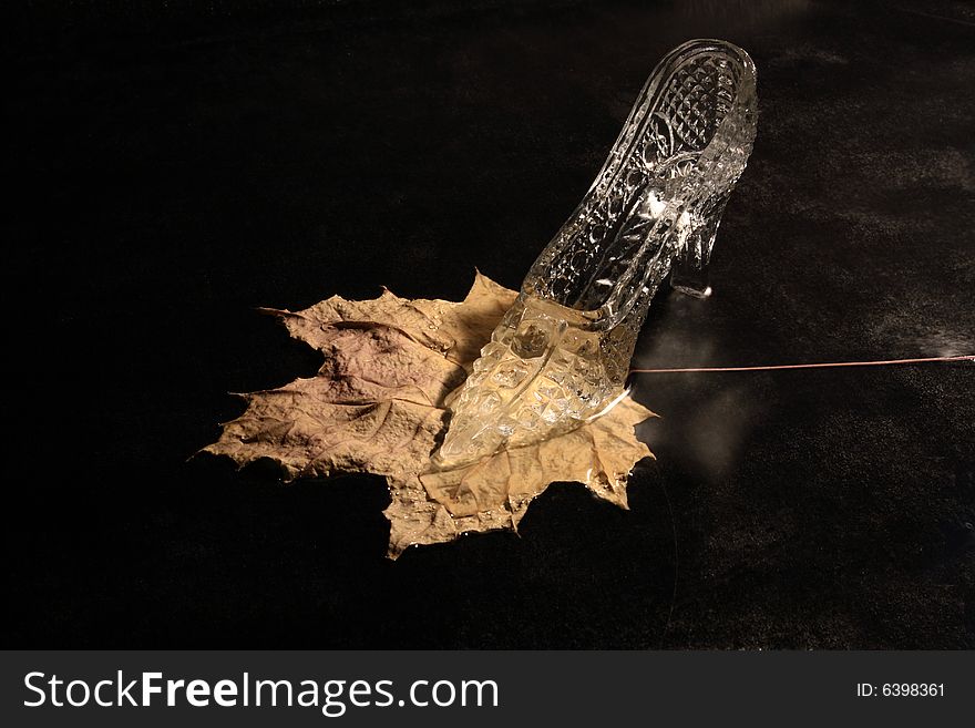 Nice glass slipper standing on yellow autumn leaf