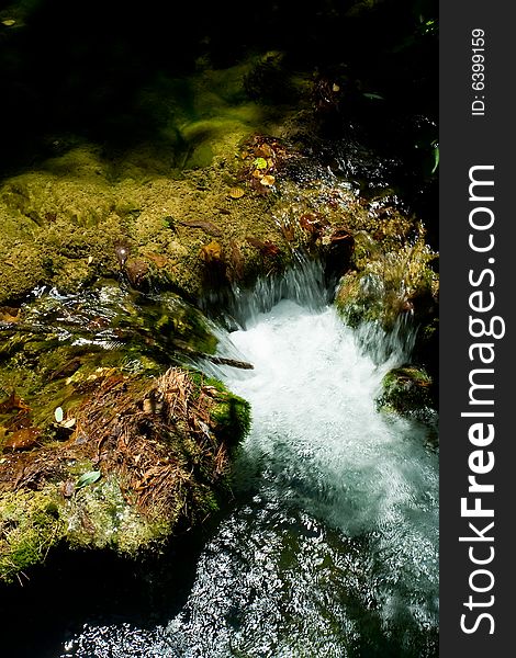 Beautiful forest waterfall detail during summer