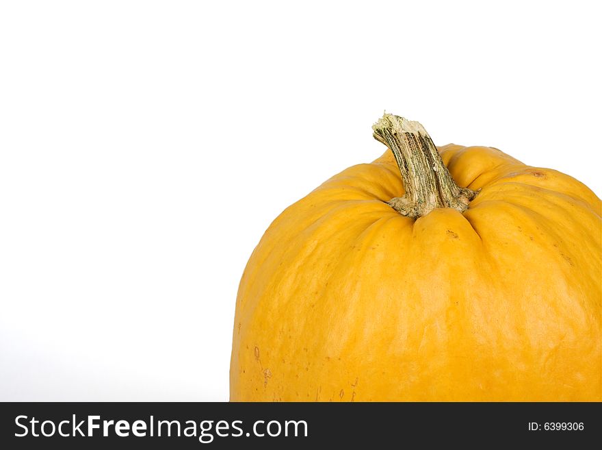 Close-up of orange pumpkin against white background