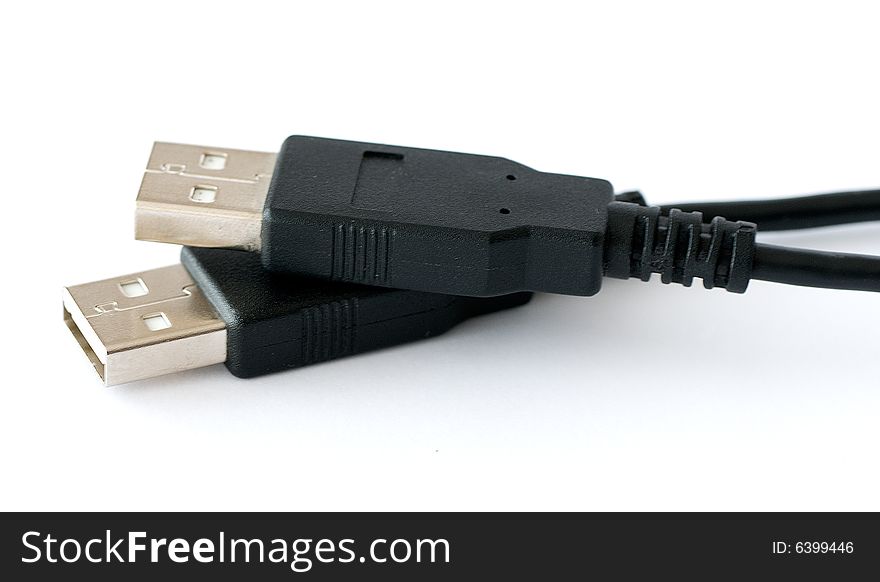 Two usb plugs