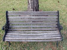 Garden Chair With Tree On The Back Royalty Free Stock Photos