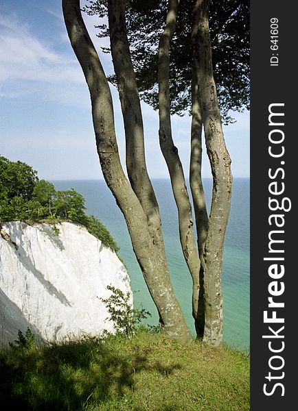 A chalk-cliff on the island Moen in Denmark. A chalk-cliff on the island Moen in Denmark.