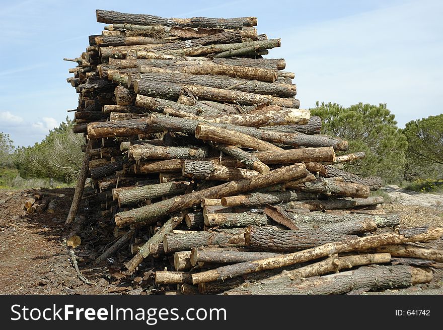 Log Dump