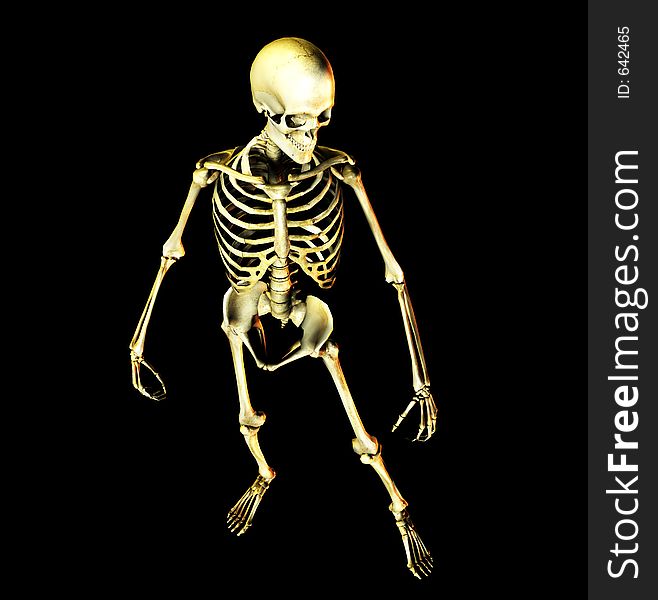 This is an skeleton in a standing pose. This is an skeleton in a standing pose.