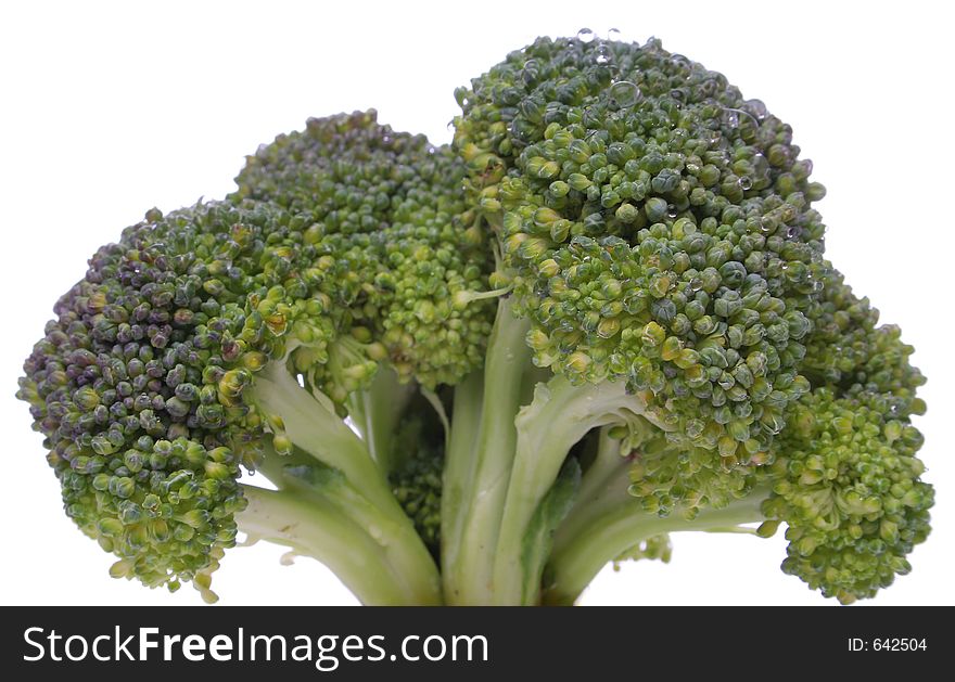 Broccoli Closeup Looking Like A Tree