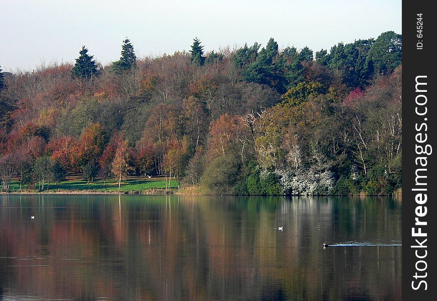 Lake reflection in Autumn. Lake reflection in Autumn.