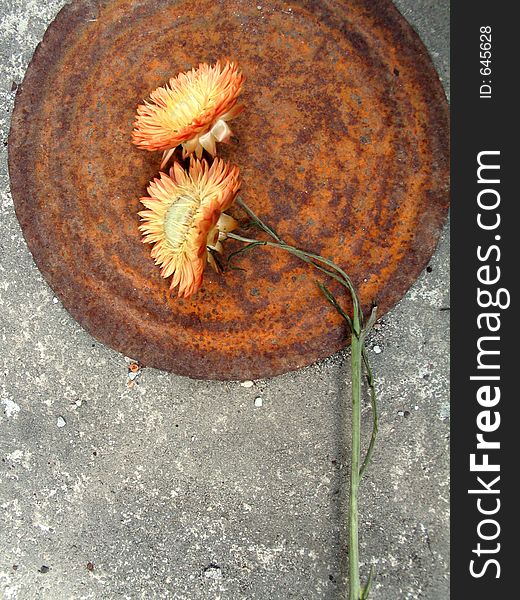 Floral still life