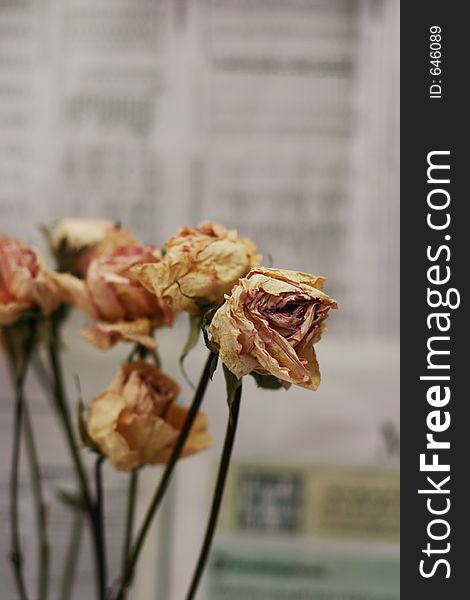 Dry flowers with business newspaper background. Dry flowers with business newspaper background