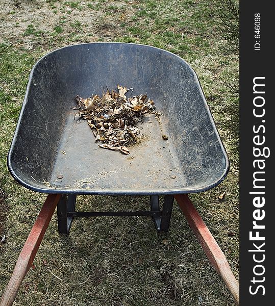 Wheelbarrow with old leaves