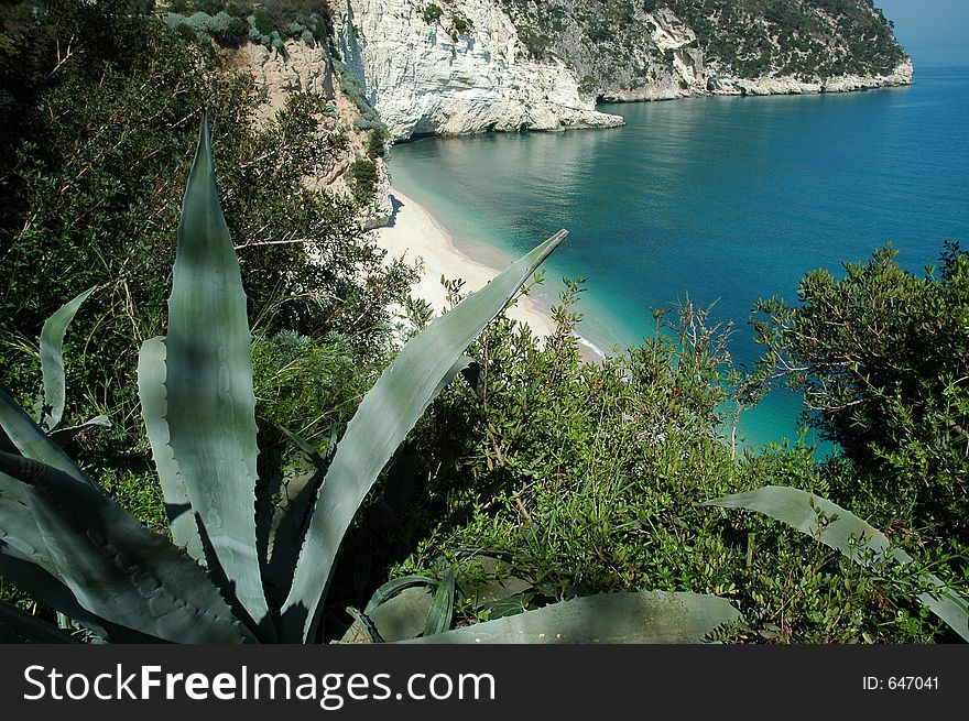 Land and sea and mountains all together here in Gargano National Park in Southern Italy. Land and sea and mountains all together here in Gargano National Park in Southern Italy