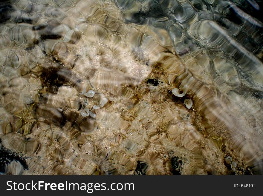 A tidepool, distorted by ripples. A tidepool, distorted by ripples.