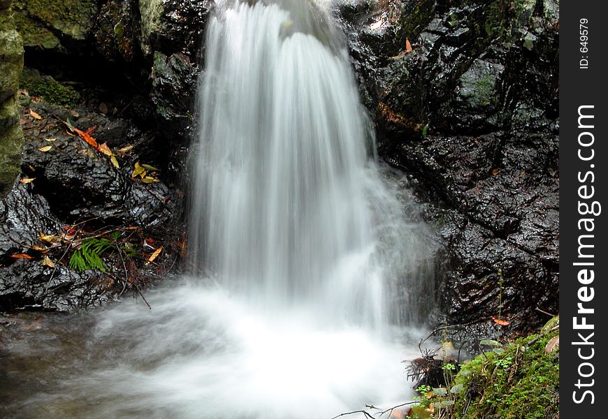 Waterfall in a forest-long exposure shot
